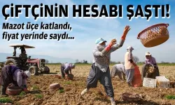 Torbalı'da üretici isyanda
