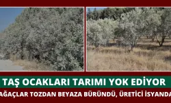 Tarım ürünleri tozdan büyük zarar görüyor