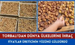 Torbalı’dan dünya ülkelerine kuru incir