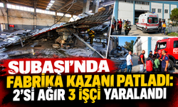 Subaşı'da facia: İşçiler yaralandı