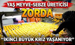 Yaş Meyve-Sebze Üreticisi Zorda