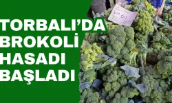 Üretici hasattan ve fiyattan memnun