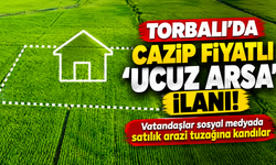 Vatandaşlar sosyal medyada satılık arazi tuzağına kandılar