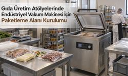 Gıda Üretim Atölyelerinde Endüstriyel Vakum Makinesi İçin Paketleme Alanı Kurulumu