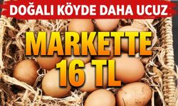 Doğalı köyde daha ucuz