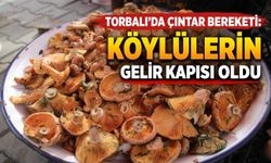 Torbalı’da Çıntar Bereketi