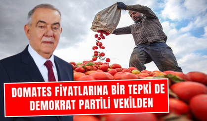 Salça ihracatındaki yasak çiftçiyi ezdi