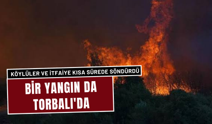 Türkmenköy'deki Orman Yangını, Köylülerin Kahramanlığıyla Söndürüldü