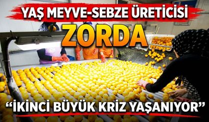 Yaş Meyve-Sebze Üreticisi Zorda