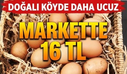 Doğalı köyde daha ucuz