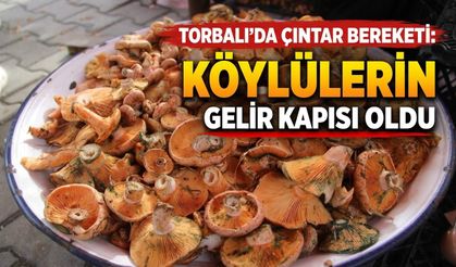 Torbalı’da Çıntar Bereketi