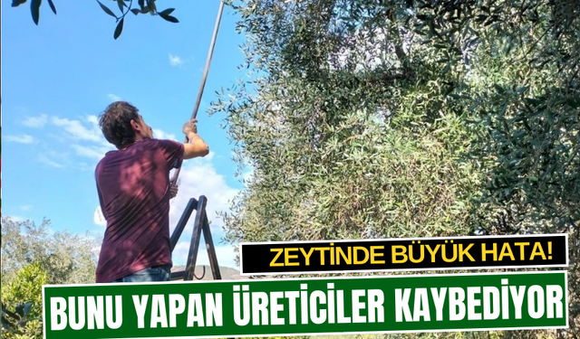 Bunu yapan üreticiler kaybediyor