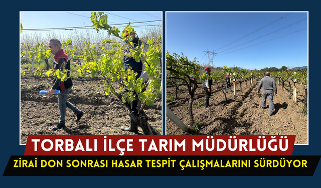 Hasar tespit çalışmaları sürüyor
