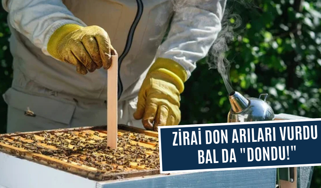 Zirai don bal üretimini de vurdu
