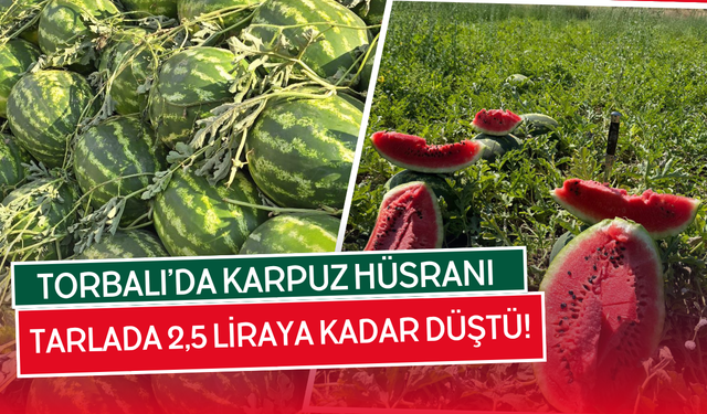 Torbalı’da Karpuz Tarlada Kaldı: Üretici Dertli, Tüketici Mutlu