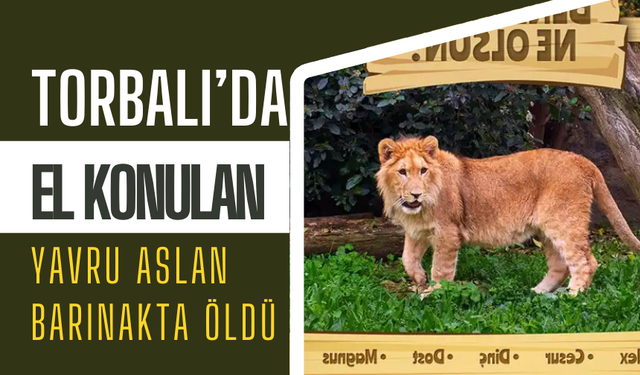Adını, İzmirliler koymuştu!