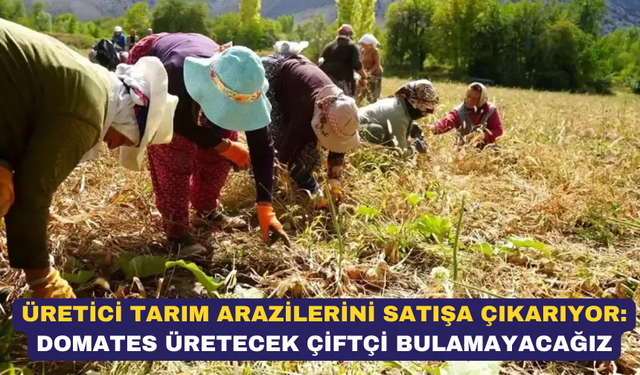 Üretici tarım arazilerini satışa çıkarıyor