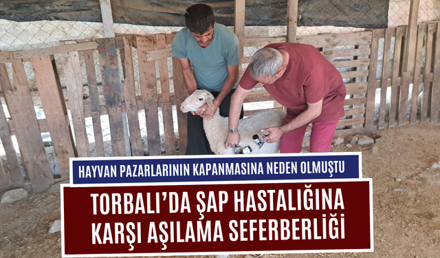 Torbalı’da Şap Hastalığına Karşı Aşılama Seferberliği