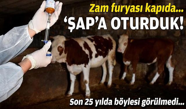 Şap hastalığı et fiyatlarını katlayacak