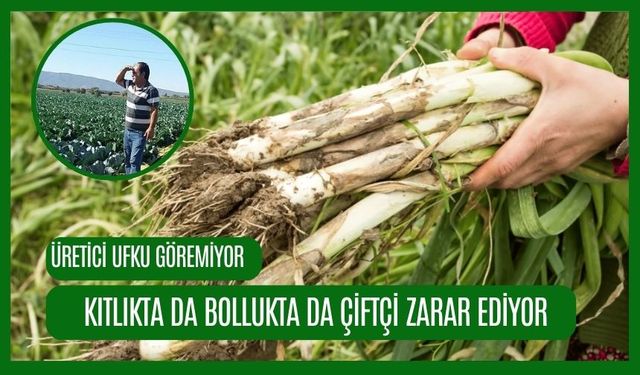 Kıtlık da çiftçiyi vuruyor bollukta