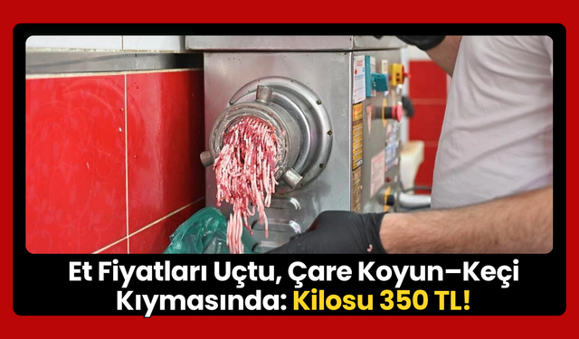 750 TL’lik Kıyma Dar Gelirlileri Zorluyor