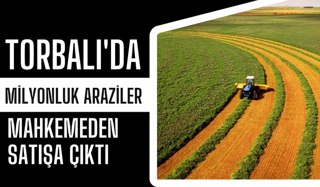 Mahkeme Kararıyla Torbalı’da 5 Tarla Satışa Çıkarıldı