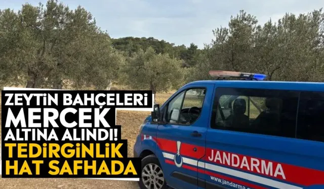 Hasat başladı, üreticiler tedirgin