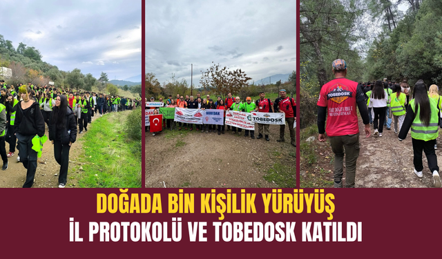 TOBEDOSK, Dünya Gönüllüler Günü'nde Nazarköy'de Bin Kişiyi Doğa İle Buluşturdu.