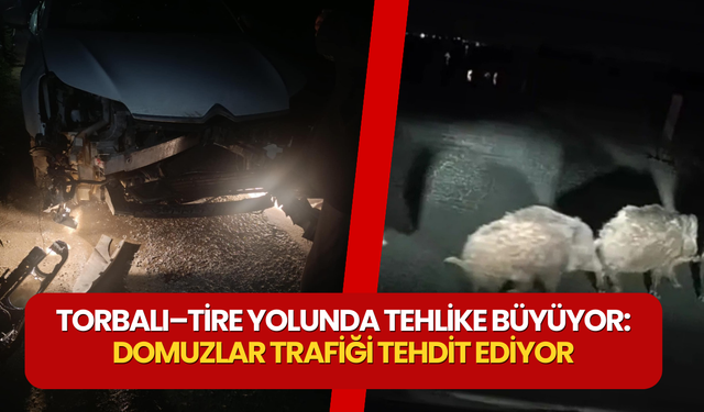 Gecenin Sessiz Tehlikesi: Torbalı–Tire Yolunda Domuz Çıkmazı