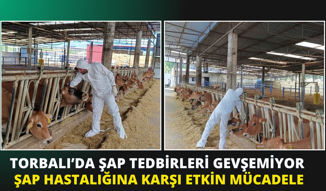Torbalı’da Şap Aşılaması Hız Kesmeden Devam Ediyor
