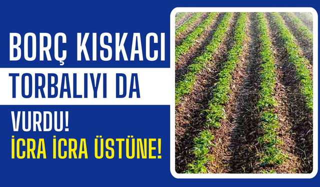 Yoğurtçular'da İki Taşınmaz Mahkemeden Satışa Çıktı