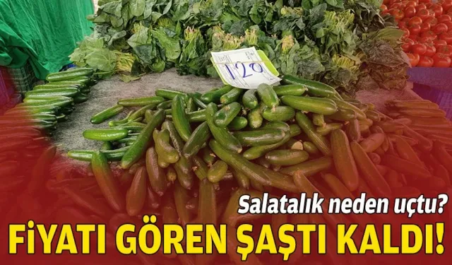 Fiyatı gören şaştı kaldı!