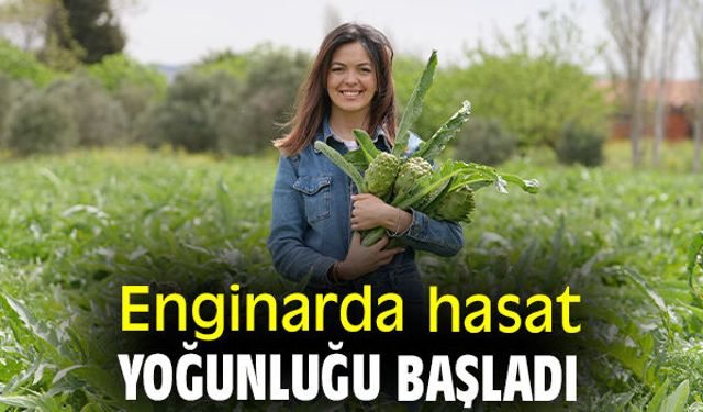 Enginar hasadı dolu dizgin