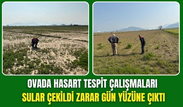 Torbalı Ovası’nda Hasar Tespiti Başladı