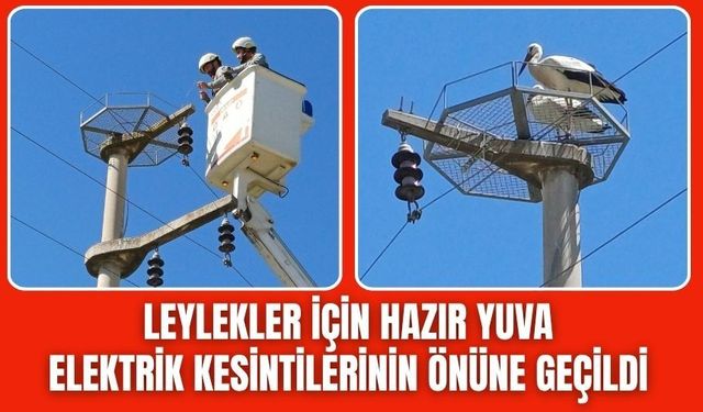 Leyleklere Özel Önlem: Direklere Hazır Yuva Kuruldu