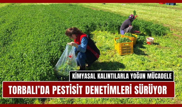 Kimyasal kalıntılarla yoğun mücadele