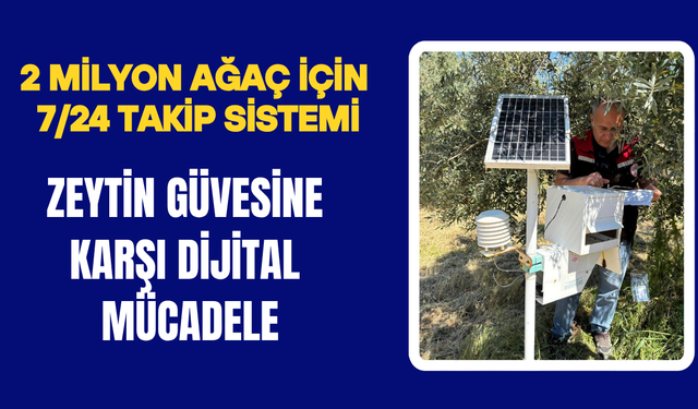 Torbalı’da Zeytinlikler Teknolojiyle Korunuyor