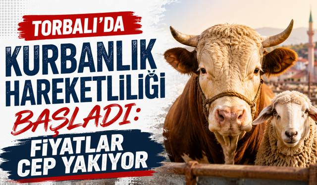 Torbalı’da kurbanlık hareketliliği başladı