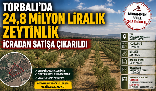 Torbalı’da 24,8 Milyon Liralık Zeytinlik İcradan Satışa Çıkarıldı