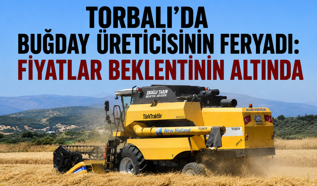Torbalı Ovası'nda Buğday Krizi: Çiftçi Düşük Fiyata Mahkûm
