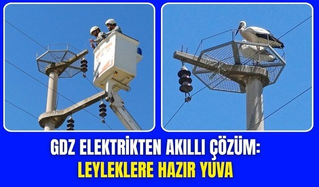 Leyleklere Güvenli Yuva Torbalı'ya Kesintisiz Elektrik