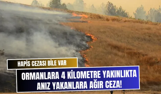 Hapis cezası bile var