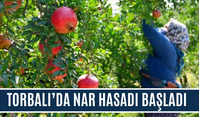 TORBALI’DA NAR HASADI BAŞLADI