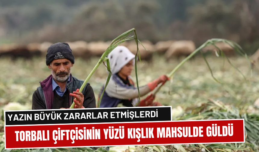 Üretici kışlık mahsulden umutlu