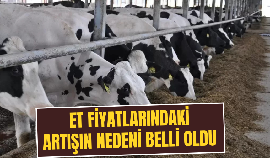 İşte fiyatlardaki artışın ana nedeni…