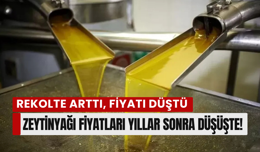 Geçtiğimiz yıla göre fiyatı yarı yarıya düştü