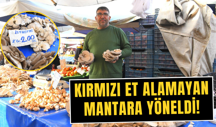 Kırmızı et alamayan mantara yöneldi!