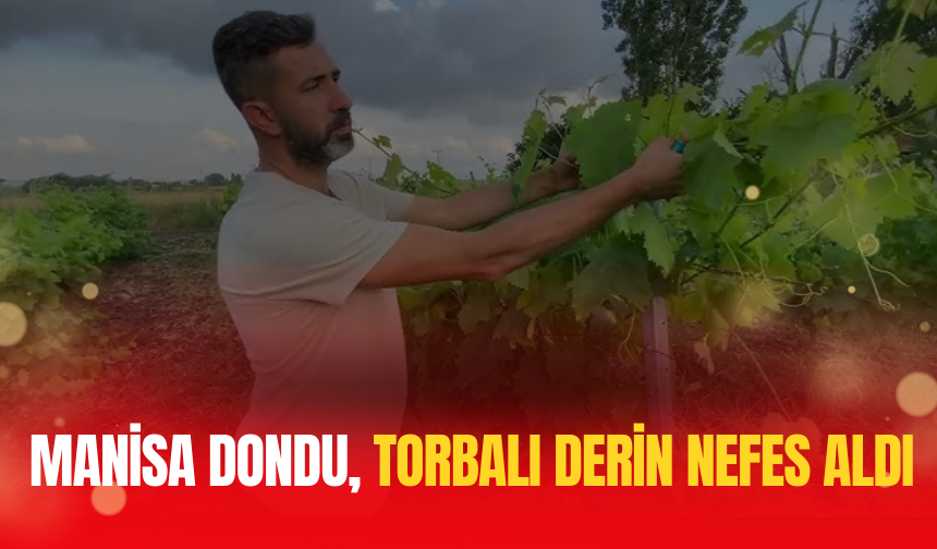 Torbalı'da Üzüme Don Darbesi Yok!