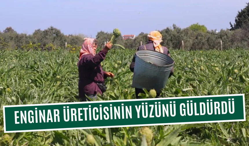 Hasat tüm hızıyla devam ediyor