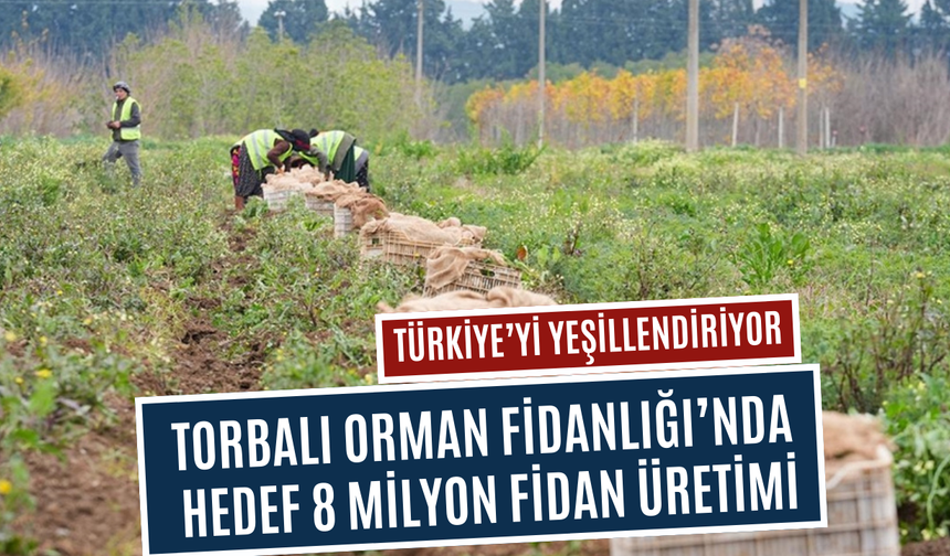 Yanan alanlar yeniden yeşeriyor